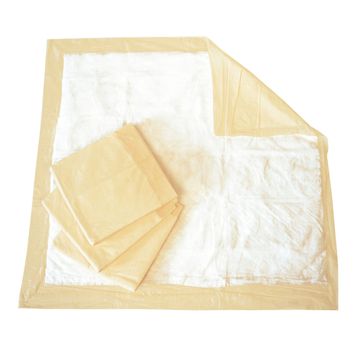 Tranquility Essential Moderate Absorbency Disposable Underpad, 36 X 36 Inch, #2679
