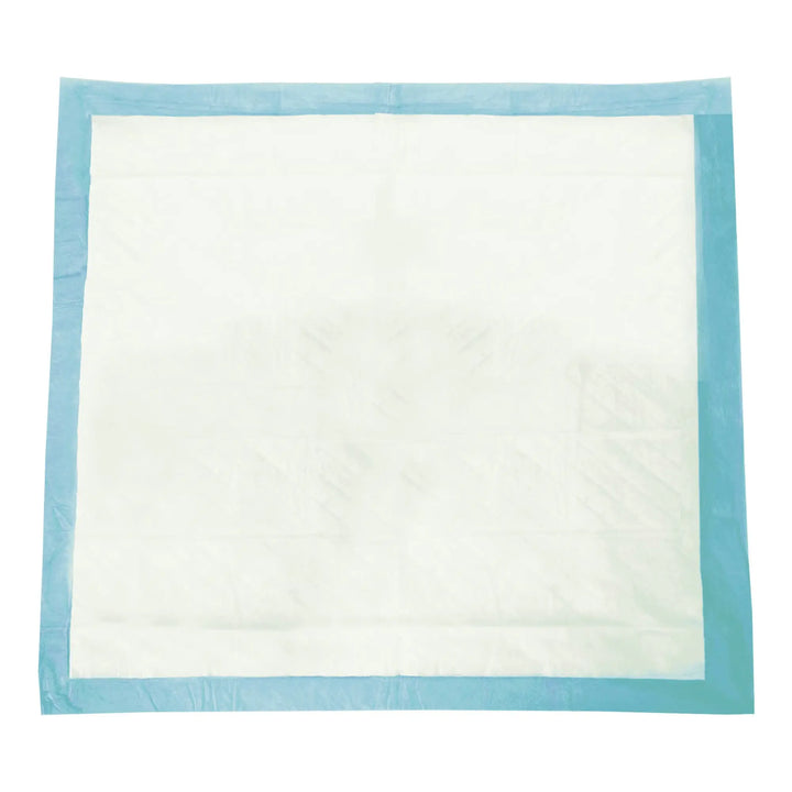 Unfolded Tranquility Essential moderate absorbency 22x36 inch disposable underpad showing light blue border and white absorbent pad
